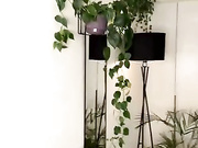 _SweetCandyy,сосёт,минет,крем,грудь