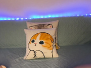 Sara-