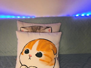 Sara-
