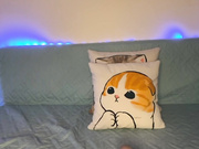 Sara-