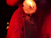 MiniNika шоу с воском