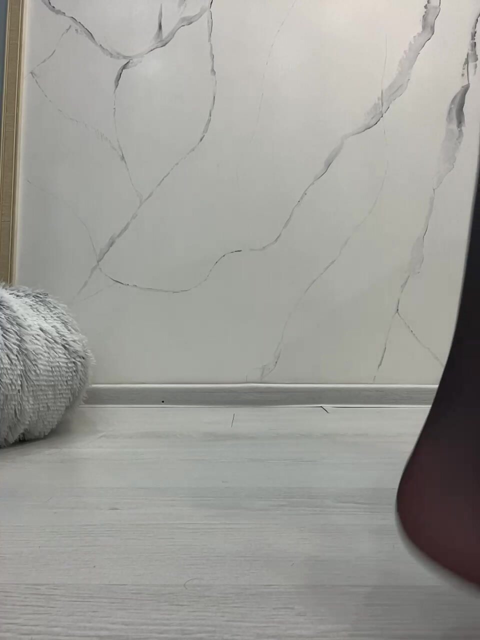 CuteKitty00