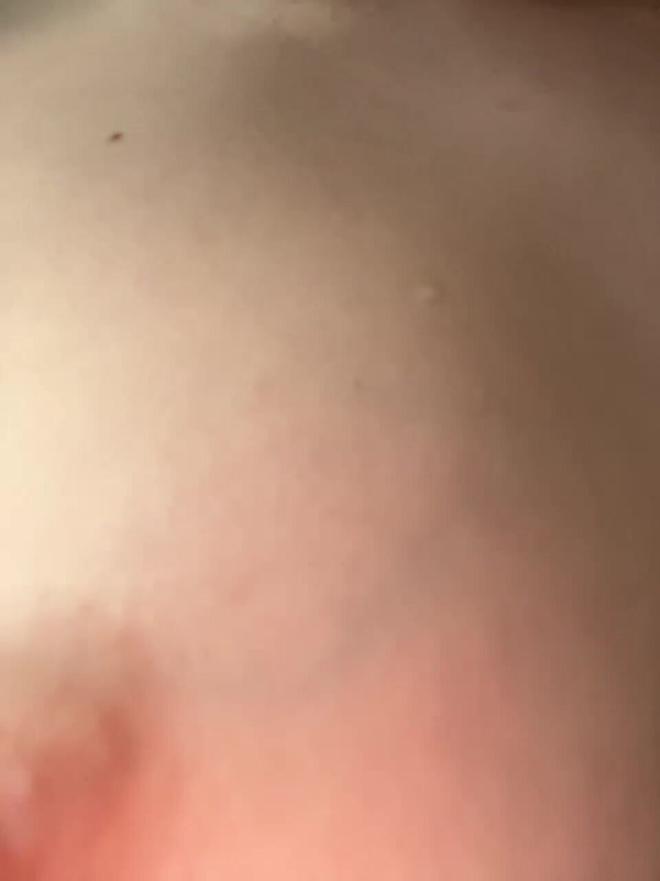 CuteKitty00
