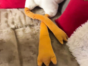 Artcam трахнул сисястую сучку