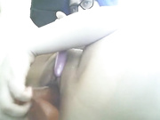 softypie