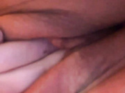 SSSATIVA_model