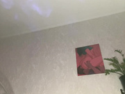 Stargazzzm 08.02.2025