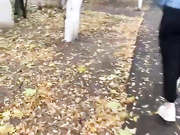 веселые девки