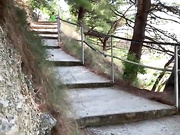 любительское