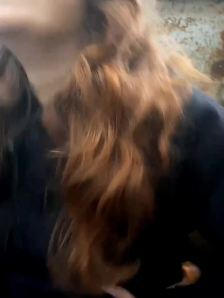 веселые девки