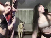 веселые девки