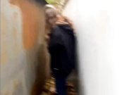 веселые девки