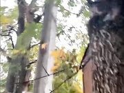 веселые девки