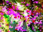 шикарная красотка приват