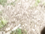 soogsx (минет в лесу)