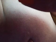 Xrisa