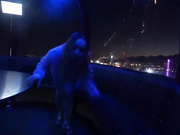 любительское