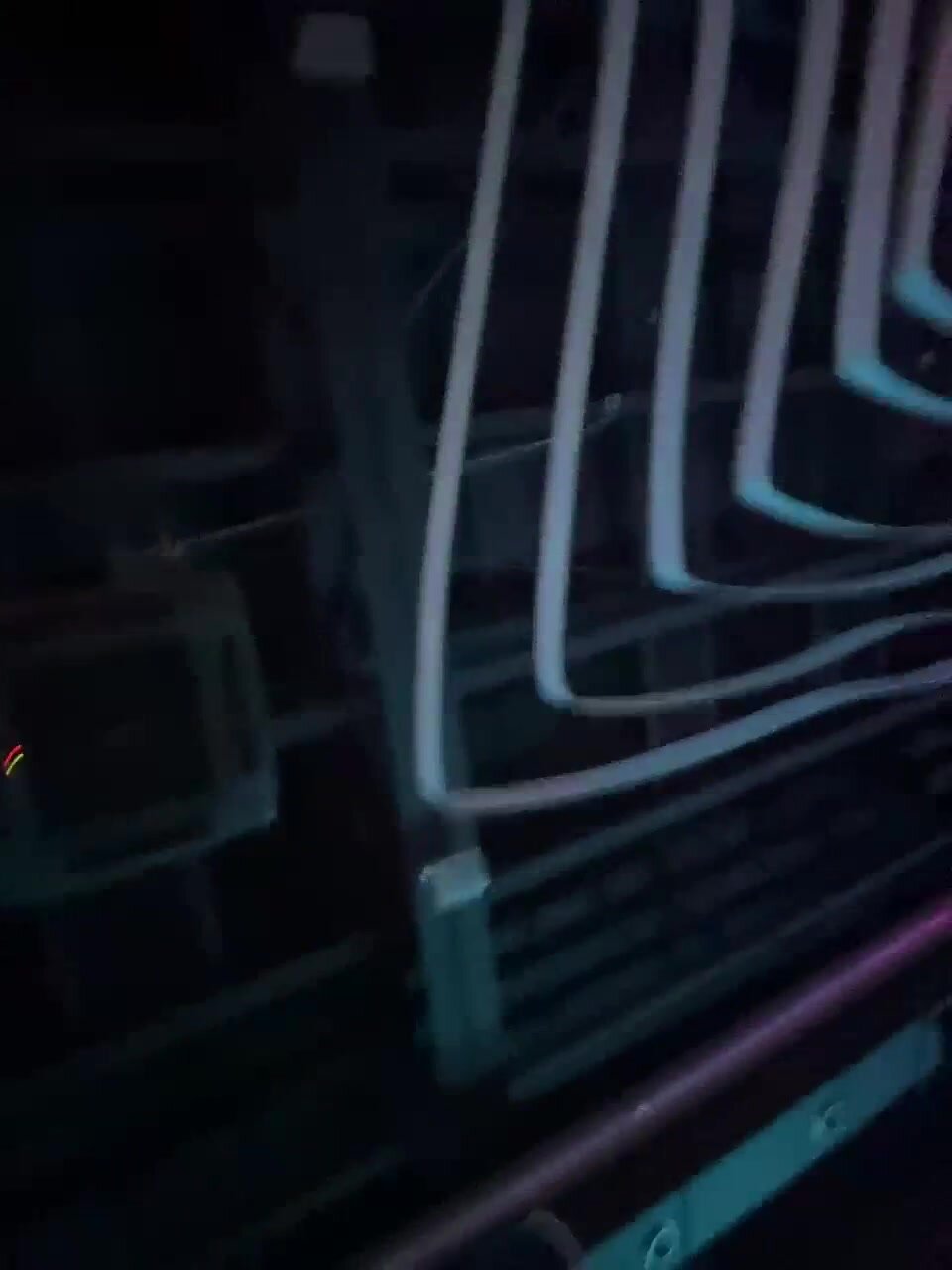 MyyyFacts отсосали подписчику на улице