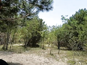 Онлайн-эровидеочат с ___Pypsiki___ на BongaCams 2025-07-01 11_54