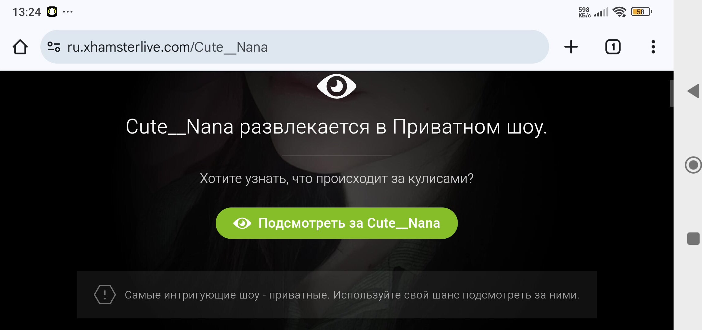 pink_soda private spy