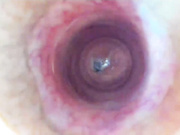 NikkaHotX анал-шоу