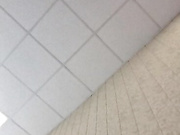 LustySass  в офисе