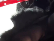 Golden_flower в ТЦ-1ч.