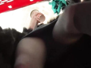 Golden_flower в ТЦ-1ч.