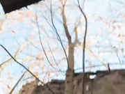 Pix1e отлиз киски