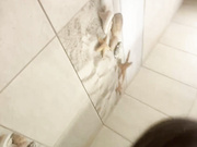 LolaSexxx 07.02.2026