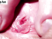 video_99214496-world79.spcs.bio