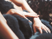 Анастасия Щеглова (актриса)