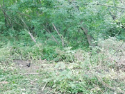 Lubovniki 29.06.2026