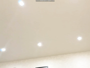 dolly_ll