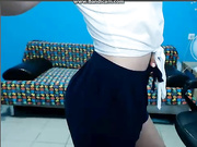 Arielsin