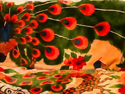 Парочка трахается перед вебкой