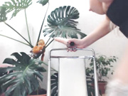 ALIKAkiss трахает свой рот и попку