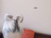 Astarta69