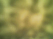 aishvariya моет сисю и писю