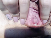 Lovebi