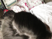 Turkish Delight — Woken Up The Right Way