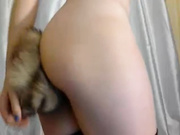 анальная пробка-хвост