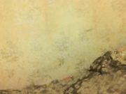 тёлки с сайта www.beboo.ru