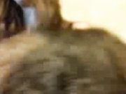 тёлки с сайта www.beboo.ru