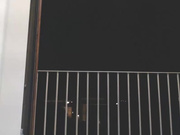 naughtyellenaughty423112