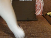 BellaDita 2018-01-12 03-00-49