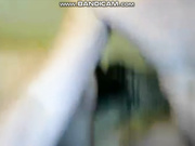 Nala_Kittycat