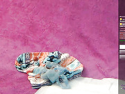 -M-Y-Z-A-    2018-01-15