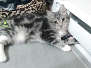 Babyleah98