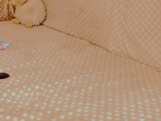 Alinn1